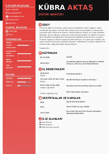 Çocuk Bakıcısı CV Örnekleri cv indir